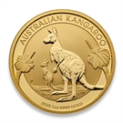 Picture of Gouden Australische Kangaroo 2020